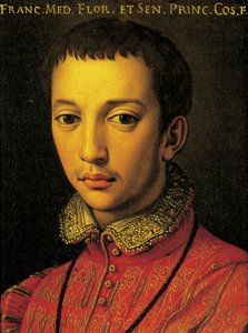 Porträt von Francesco I. de Medici (Florenz) von Agnolo Bronzino