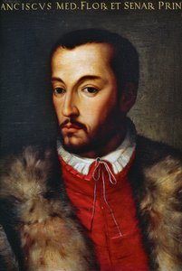 Porträt von Francesco I. de Medici (Florenz)