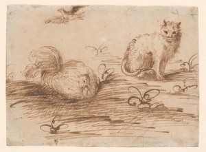 Eine Katze und eine brütende Henne