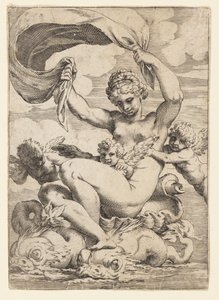 Venus (oder Galatea) und Cupidos unterstützt von Delfinen von Agostino Carracci