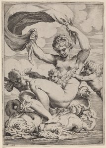 Venus oder Galatea von Delfinen getragen von Agostino Carracci
