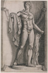 Speculum Romanae Magnificentiae: Apollo Belvedere, ca. 1514-36 von Agostino Veneziano