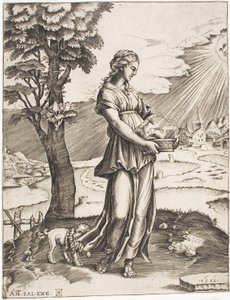 Die Kumanaische Sibylle von Agostino dei Musi
