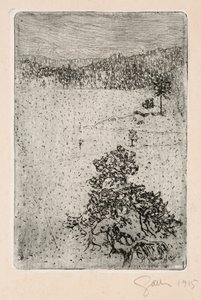  von Akseli Gallen-Kallela