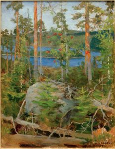 Blick auf den Jamajärvi-See