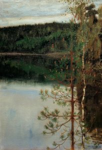 Blick auf einen See von Akseli Valdemar Gallen Kallela
