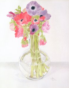 Anemonen, 1982