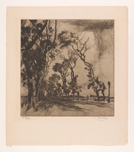 Landschaft mit Allee Richtung Ostende