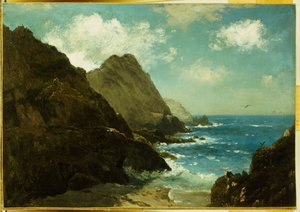 Farallon-Inseln