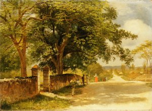 Straße in Nassau, ca. 1878