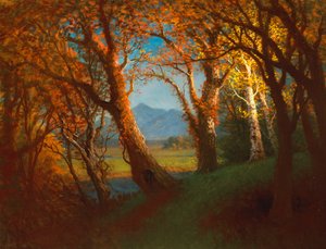 Sonnenuntergang im Nebraska-Territorium von Albert Bierstadt