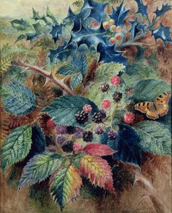 Brombeeren und Stechpalme mit einem Schmetterling