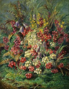 Glockenblumen, Ascheheide, Stechginster und Schmetterling. Gemälde von Albert Durer Lucas (1828-1918)