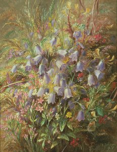 Glockenblumen und andere Waldblumen und Gräser