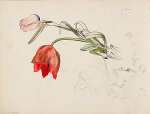 Tulpen, Gesichtsstudien von Albert Edelfelt