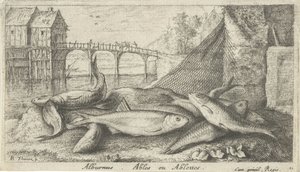Alburnus am Flussufer von Albert Flamen