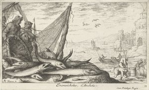 Sardellen bei einem Korb und Fischernetz (Vissen en andere zeedieren - zoutwater derde reeks, Poissons de mer)
