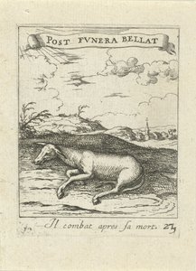Toter Esel von Albert Flamen