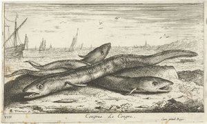Drei Seeaale am Strand von Albert Flamen