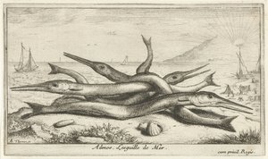 Fische am Strand von Albert Flamen