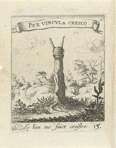 Landschaft mit Baumstumpf