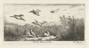 Landschaft mit Eisvögeln von Albert Flamen