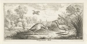 Landschaft mit zwei Rallen am Ufer von Albert Flamen