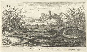 Schlammkriecher am Flussufer von Albert Flamen