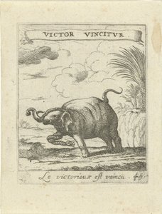 Elefant und Schlange