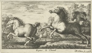 Pferde (Verschiedene Tierarten) von Albert Flamen