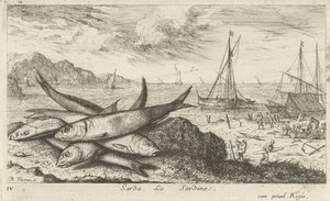 Sardinen am Strand von Albert Flamen