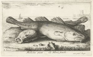 Zwei Kabeljaue am Strand von Albert Flamen