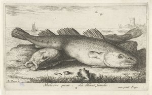 Zwei Kabeljaue am Strand von Albert Flamen