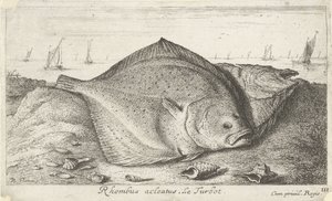 Zwei Steinbutte am Strand von Albert Flamen