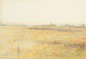 Kornfelder, Hooe. Bexhill am Meer