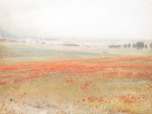 Die Unkräuter. Mohn im Korn. Salisbury