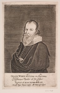 Ole Worm von Albert Haelwegh