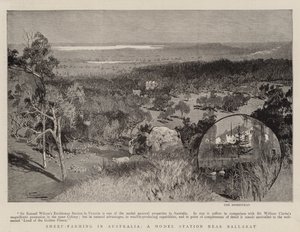 Schafzucht in Australien, eine Modellstation in der Nähe von Ballarat