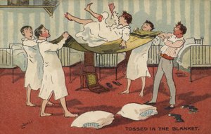 In eine Decke geworfen von Albert Jnr. Ludovici