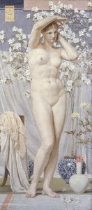 Eine Venus