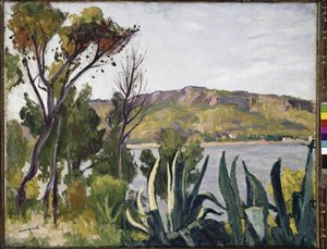 Landschaft mit Agave