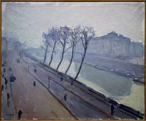Blick auf die Kais der Seine in Paris