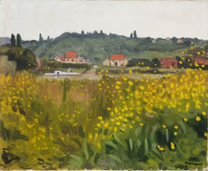 Gelbe Blumen in Villenes