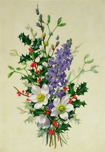 Zweig von Hundsrose, Stechpalme, Mistel und Rittersporn (1)