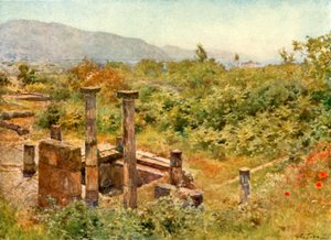 Blick von Pompeji von Alberto Pisa