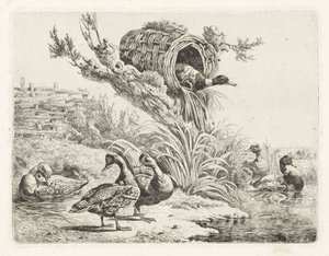 Enten an einem Ufer von Albertus Verhoesen