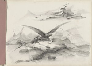 Adler fliegend über eine Küste mit Bergen von Albertus van Beest