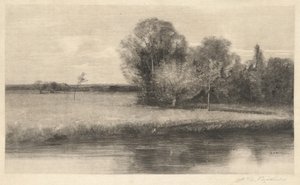 Eine sonnenbeschienene Wiese an einem Fluss