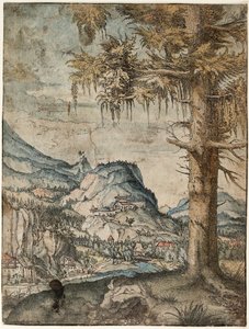 Die Große Fichte von Albrecht Altdorfer