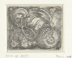 Granatapfel und Blattranken von Albrecht Altdorfer